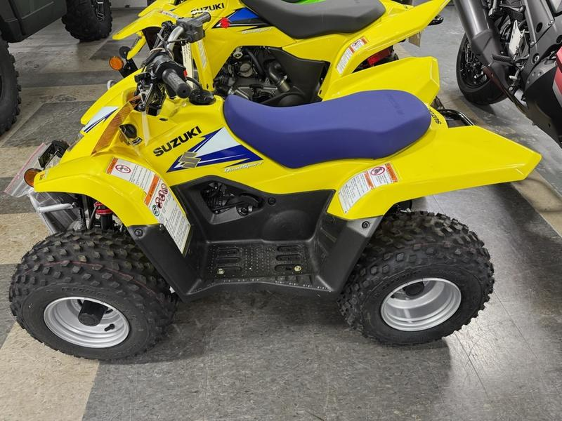 2026 Honda TRX250X Sport - Image 2